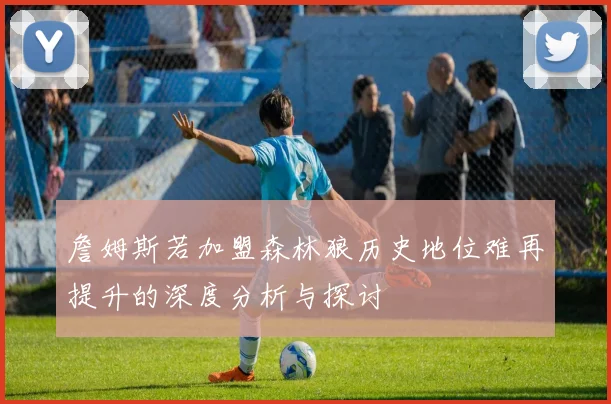 詹姆斯若加盟森林狼历史地位难再提升的深度分析与探讨